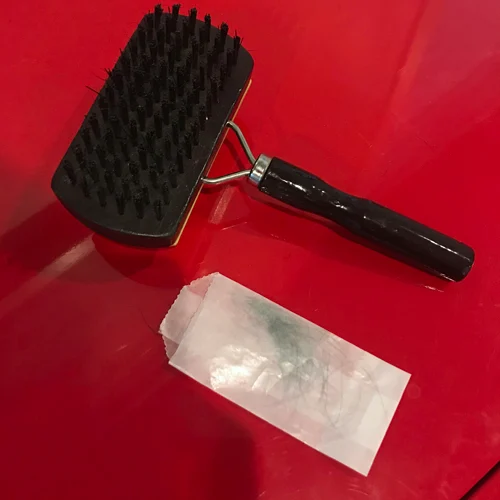 dog-allergy-test-brushing