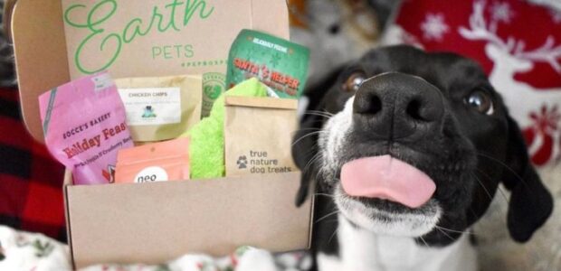 Pet Subscription Boxes, Food Deals & Accessories